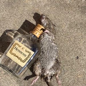 Meet your Posher, Christen